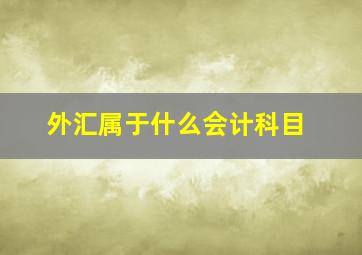 外汇属于什么会计科目