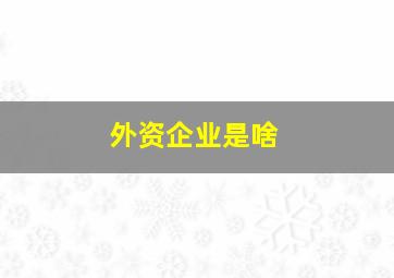 外资企业是啥