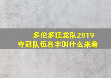 多伦多猛龙队2019夺冠队伍名字叫什么来着