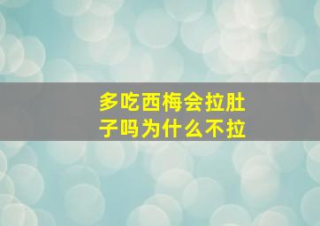 多吃西梅会拉肚子吗为什么不拉