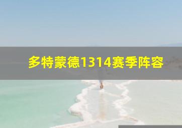 多特蒙德1314赛季阵容