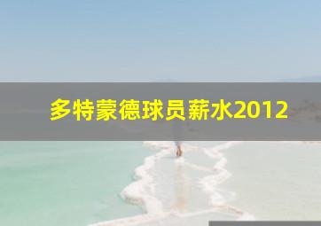 多特蒙德球员薪水2012