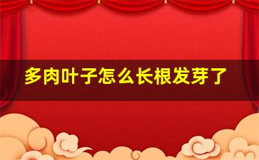 多肉叶子怎么长根发芽了