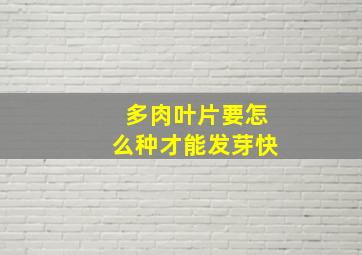 多肉叶片要怎么种才能发芽快