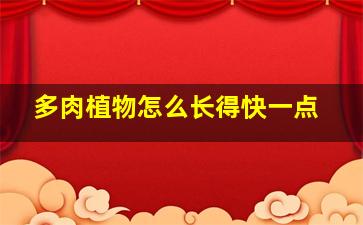 多肉植物怎么长得快一点