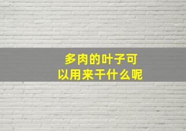 多肉的叶子可以用来干什么呢