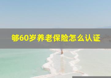 够60岁养老保险怎么认证