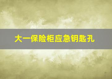 大一保险柜应急钥匙孔