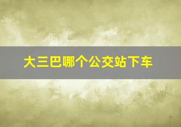 大三巴哪个公交站下车