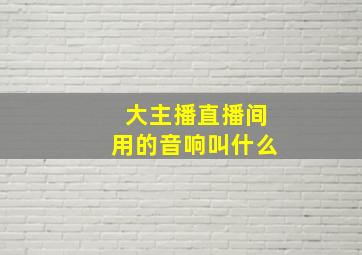 大主播直播间用的音响叫什么