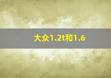 大众1.2t和1.6