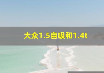 大众1.5自吸和1.4t