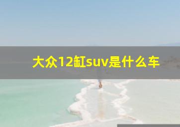 大众12缸suv是什么车