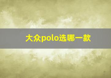 大众polo选哪一款