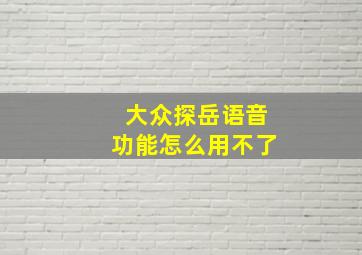 大众探岳语音功能怎么用不了