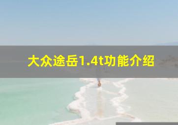 大众途岳1.4t功能介绍