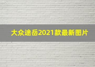 大众途岳2021款最新图片