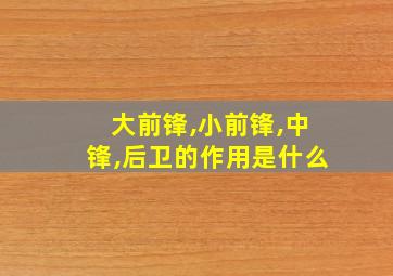 大前锋,小前锋,中锋,后卫的作用是什么