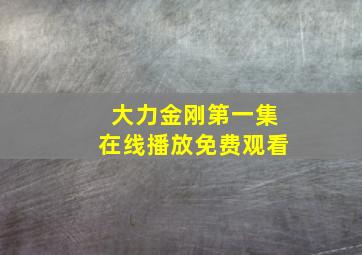 大力金刚第一集在线播放免费观看