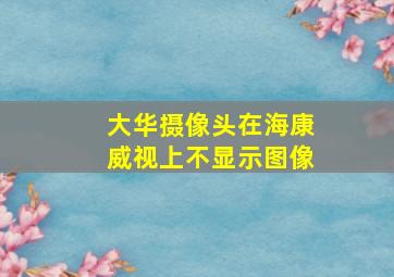 大华摄像头在海康威视上不显示图像