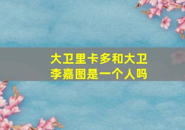 大卫里卡多和大卫李嘉图是一个人吗