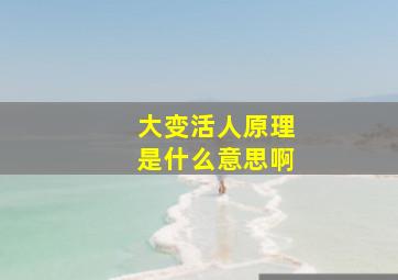 大变活人原理是什么意思啊