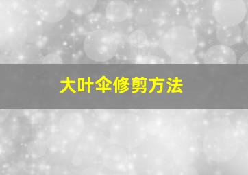 大叶伞修剪方法