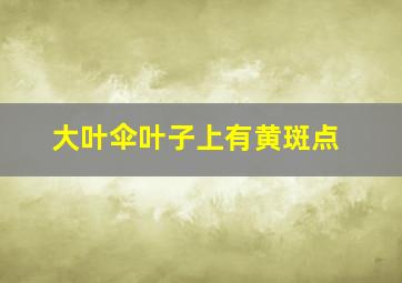 大叶伞叶子上有黄斑点