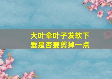 大叶伞叶子发软下垂是否要剪掉一点