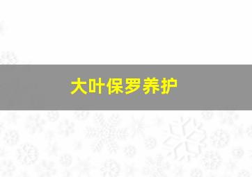 大叶保罗养护