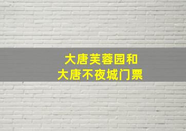 大唐芙蓉园和大唐不夜城门票