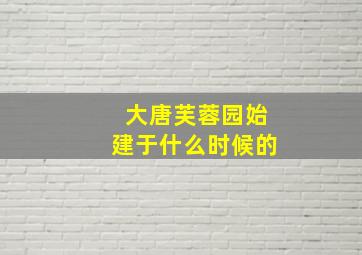 大唐芙蓉园始建于什么时候的