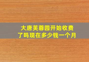 大唐芙蓉园开始收费了吗现在多少钱一个月