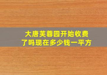 大唐芙蓉园开始收费了吗现在多少钱一平方