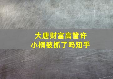 大唐财富高管许小桐被抓了吗知乎