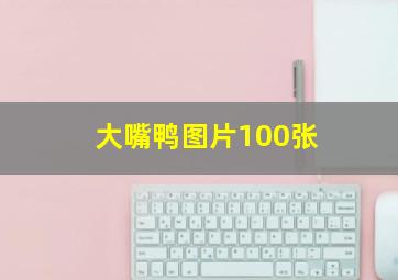 大嘴鸭图片100张