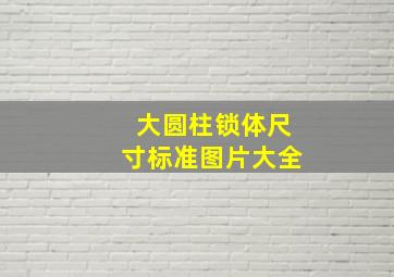 大圆柱锁体尺寸标准图片大全