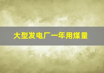 大型发电厂一年用煤量