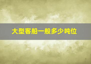 大型客船一般多少吨位