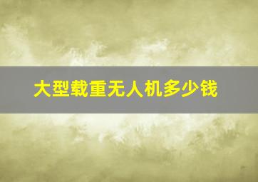 大型载重无人机多少钱