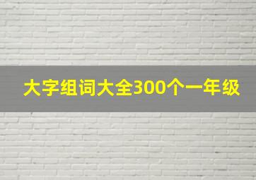 大字组词大全300个一年级