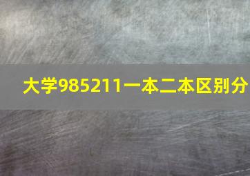 大学985211一本二本区别分