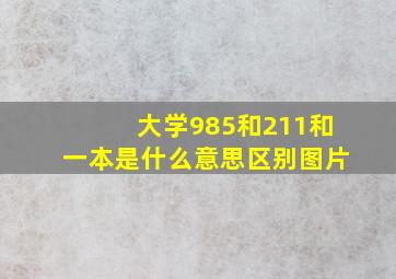 大学985和211和一本是什么意思区别图片