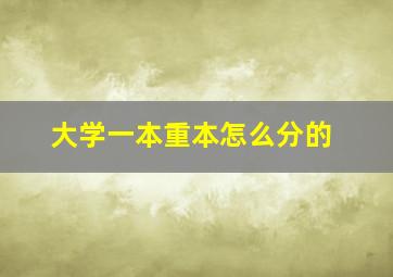 大学一本重本怎么分的