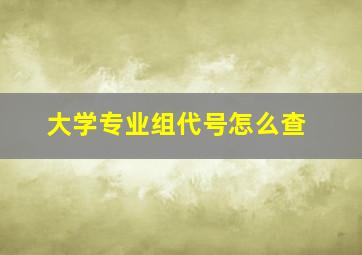 大学专业组代号怎么查