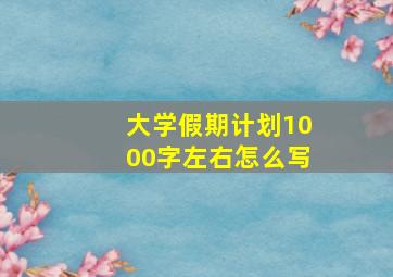 大学假期计划1000字左右怎么写