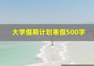 大学假期计划寒假500字