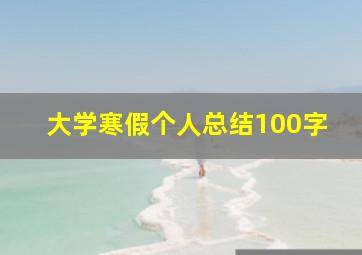 大学寒假个人总结100字