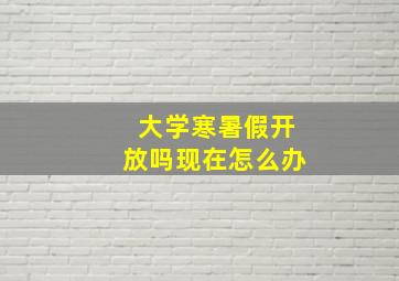 大学寒暑假开放吗现在怎么办