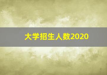 大学招生人数2020